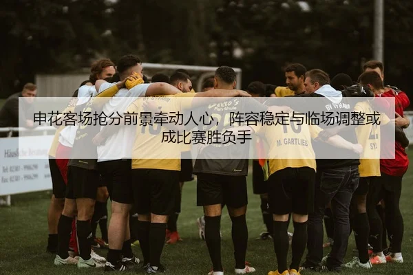 申花客场抢分前景牵动人心，阵容稳定与临场调整或成比赛胜负手